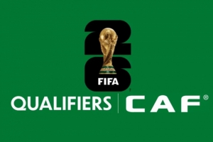 非洲区世预赛附加赛：尼日利亚vs加蓬，喀麦隆vs民主刚果